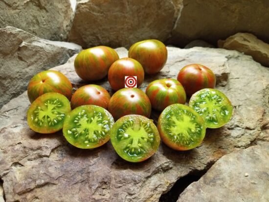 The 5 Best Dwarf Tomatoes Of 2022 By Bounty Hunter Seeds