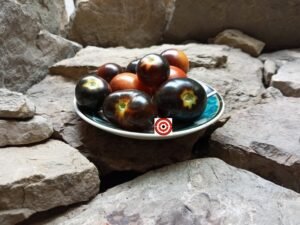 Midnight Select Tomato - The Best Antho Tomato Seeds