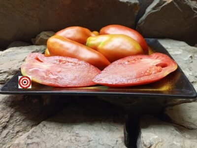 Opalka Tomato Seeds The Best Canning Tomatoes