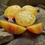 Pampelmousse Du Grand Tomato