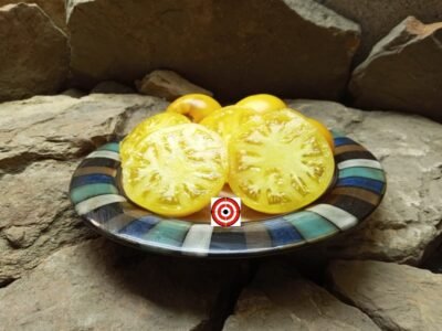 Rare Tomatoes Tasmanian Yellow Tomato Seeds.