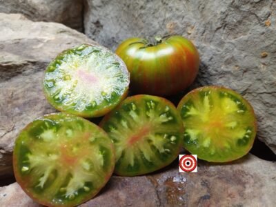 Best Bicolored Dwarf Tomatoes Spud Viper Dwarf Tomato Seeds.