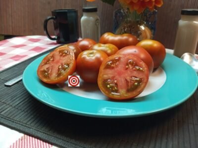 Best Black Dwarf Tomatoes Kangaroo Paw Brown Dwarf Tomato Seeds.