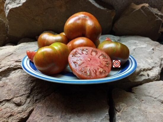 5 Best Striped Dwarf Tomatoes by Bounty Hunter Seeds-Heirlooms