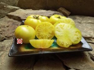 Best Yellow Dwarf Tomatoes Dwarf Mr. Snow Tomato Seeds.