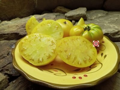 The Best Dwarf Tomato Project Tomatoes Dwarf Sweet Sue Tomato Seeds.