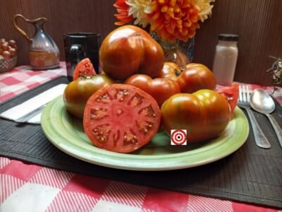 The Best Striped Tomatoes Chocolate Lightning Dwarf Tomato Seeds.