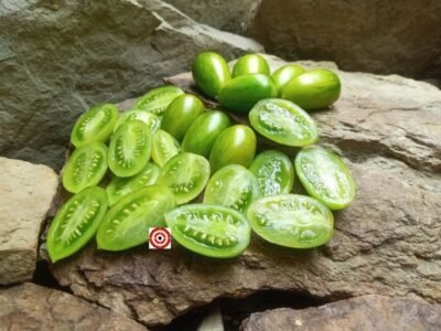 The Best Top 5 Green Tomatoes Green Tiger Tomato Seeds.