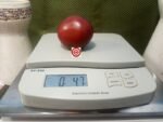 Amarillo Rust Heart Tomato