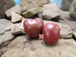 Amarillo Rust Heart Tomato Seeds