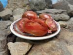 Aussie Drop Dwarf Tomato Seeds