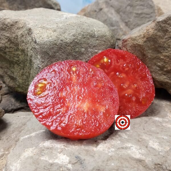 Coorong Pink Dwarf Tomato Seeds