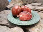 Dwarf Aussie Drop Tomato Seeds