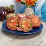 Dwarf Hazy's Dream Tomato Container Tomatoes