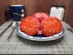 Dwarf Mallee Rose Tomato Seeds