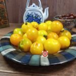 Dwarf Moby's Cherry Tomato Container Tomatoes