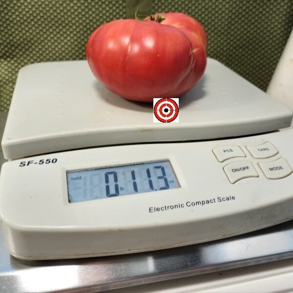 Dwarf Mystic Lady Tomato