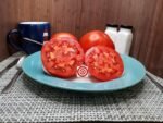 Dwarf Mystic Lady Tomato Container Tomatoes