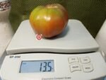 Liz Birt Tomato