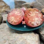 Liz Birt Tomato Seeds