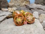 Spike Tomato Black Tomatoes