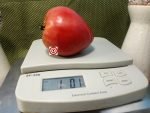 Calf's Heart Tomato