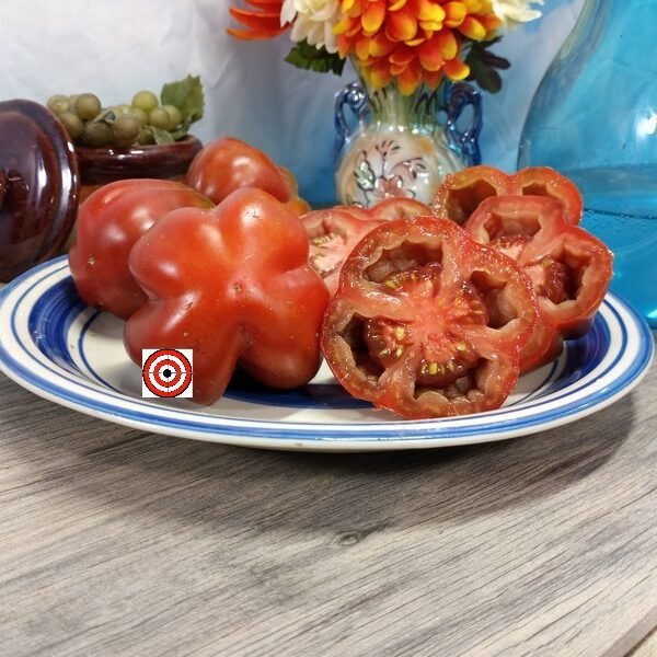 Deep Space Snickers Tomato Seeds