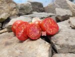 Dwarf Kangaroo Paw Red Tomato Container Tomatoes