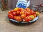 Dwarf Mini Marzano Micro Tomato