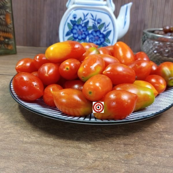 Dwarf Mini Marzano Micro Tomato