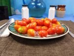 Dwarf Mini Marzano Micro Tomato Seeds