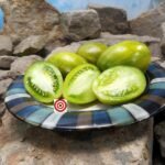 Dwarf Saucy Mary Tomato Container Tomatoes