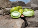 Dwarf Saucy Mary Tomato Tomato Seeds