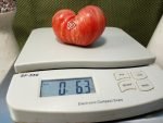 Dwarf Streak Legal Tomato Seeds
