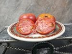 Dwarf Yukon Quest Tomato