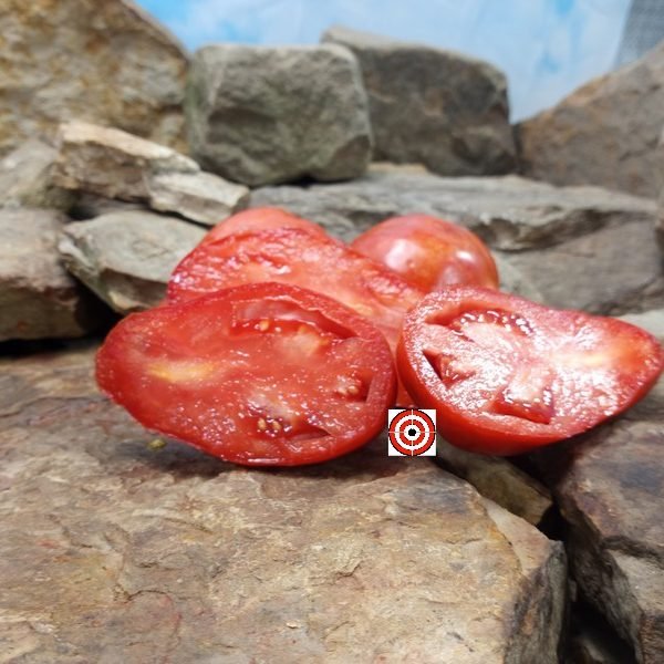 Fiascos Piemontes Tomato Canning Tomatoes