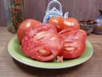 Indiana Red Tomato