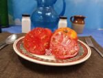 Kangaroo Paw Red Dwarf Tomatoes