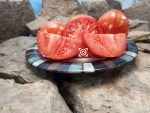 Kazakhstan Heart Tomato Heirloom Tomato