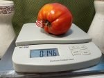Kazakhstan Heart Tomato Red Tomato