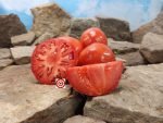 Kazakhstan Heart Tomato Seeds
