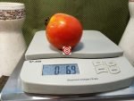Kazakhstan Heart Tomato Slicing Tomato