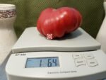 Lenny and Gracies Kentucky Heirloom Red Tomato Heirloom Tomato