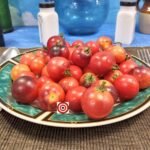 Little Red Corvette Dwarf Tomato Seeds
