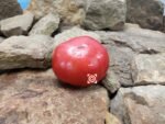 Marizol Bratka Tomato Heirloom Tomato