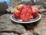 Martha's Heart Tomato
