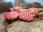 Marthas Heart Tomato Elongated Tomato