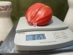 Marthas Heart Tomato Oxheart Tomato