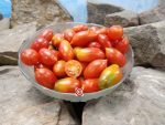 Micro Dwarf Mini Marzano Tomato Seeds