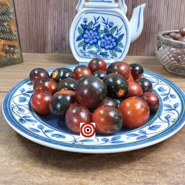 Midnight Snack F2 Tomato Bi Color Tomato